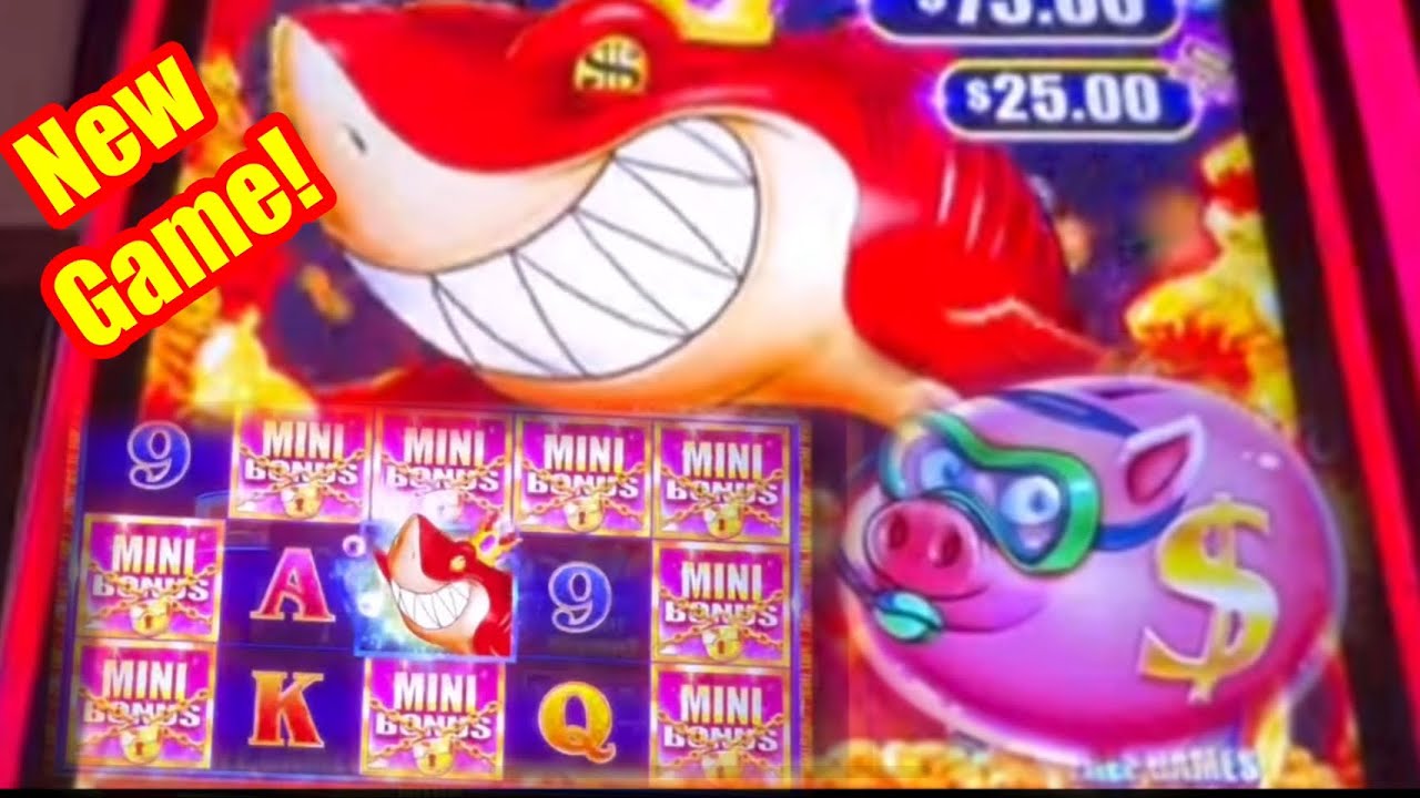 WinShark Gambling Enterprise Testimonial WinShark Gambling Enterprise Testimonial